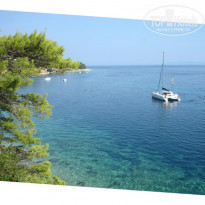 фото из отзыва ID 171347