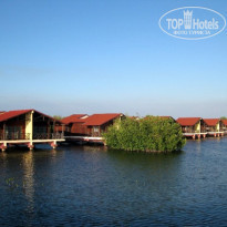 фото из отзыва ID 171361