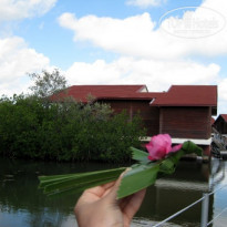 фото из отзыва ID 171361