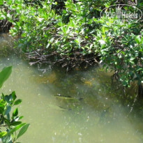 фото из отзыва ID 171361