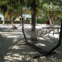 фото из отзыва ID 171365