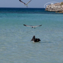 фото из отзыва ID 171367