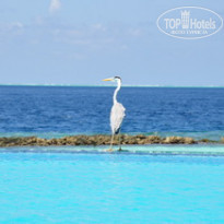 фото из отзыва ID 171540