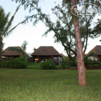 фото из отзыва ID 171633