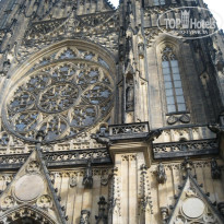 фото из отзыва ID 171778