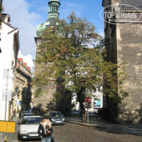 фото из отзыва ID 171778