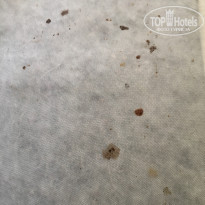 фото из отзыва ID 1710000