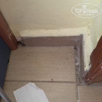 фото из отзыва ID 1710000