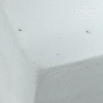 фото из отзыва ID 1710000