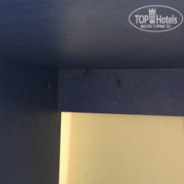 фото из отзыва ID 1710000