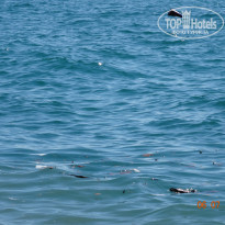 фото из отзыва ID 1710049