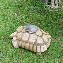 фото из отзыва ID 1710250