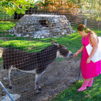 фото из отзыва ID 1710263