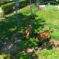 фото из отзыва ID 1710263