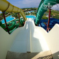 фото из отзыва ID 1710263