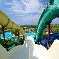 фото из отзыва ID 1710263