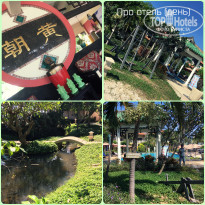 фото из отзыва ID 1710336