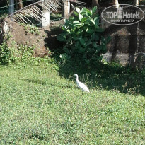 фото из отзыва ID 1710341