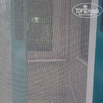 фото из отзыва ID 1710499