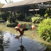 фото из отзыва ID 1710504