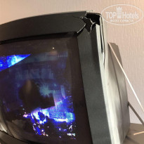 фото из отзыва ID 1710631