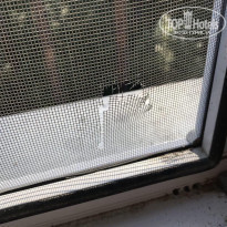 фото из отзыва ID 1710631