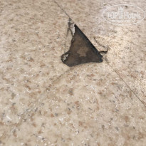 фото из отзыва ID 1710631