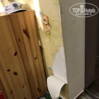 фото из отзыва ID 1710631