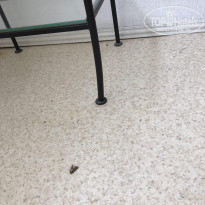 фото из отзыва ID 1710631