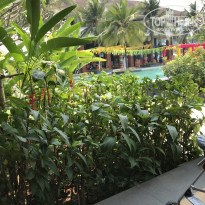 фото из отзыва ID 1710686