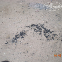 фото из отзыва ID 1710691