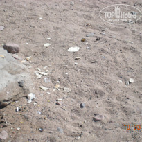 фото из отзыва ID 1710691