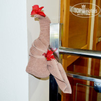 фото из отзыва ID 1710724