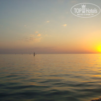 фото из отзыва ID 1710808