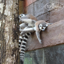 фото из отзыва ID 1710860