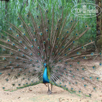 фото из отзыва ID 1710860