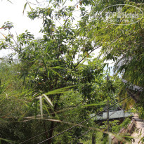 фото из отзыва ID 1710860