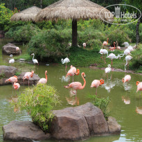 фото из отзыва ID 1710860