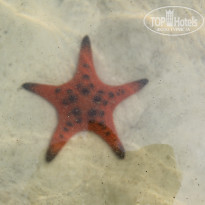 фото из отзыва ID 1710860