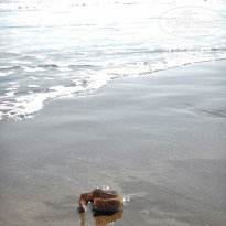 фото из отзыва ID 1710884