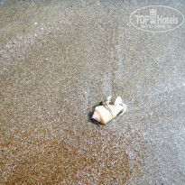 фото из отзыва ID 1710884