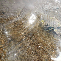 фото из отзыва ID 1710884