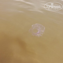 фото из отзыва ID 1710884