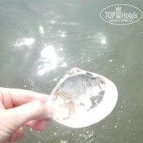 фото из отзыва ID 1710884