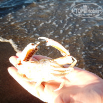 фото из отзыва ID 1710884