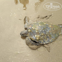 фото из отзыва ID 1710884