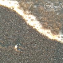 фото из отзыва ID 1710884