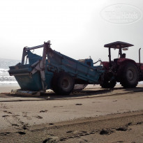 фото из отзыва ID 1710884