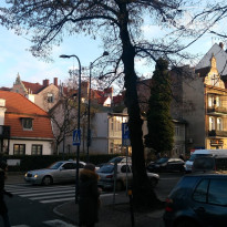 фото из отзыва ID 1710886