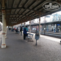 фото из отзыва ID 1710886